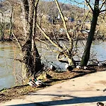 Riverside Surrounded By Nature For Two 別荘 Esneux