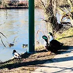 Дом отдыха Riverside Surrounded By Nature For Two *