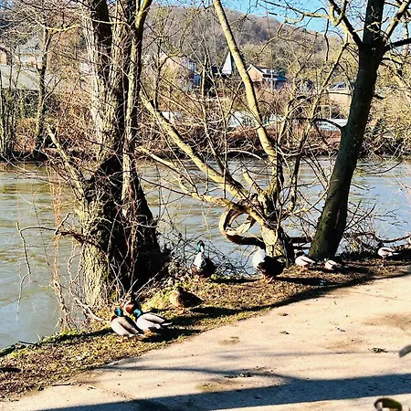 Riverside Surrounded By Nature For Two Dom wakacyjny Esneux