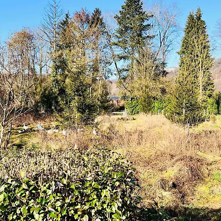 Dom wakacyjny Riverside Surrounded By Nature For Two