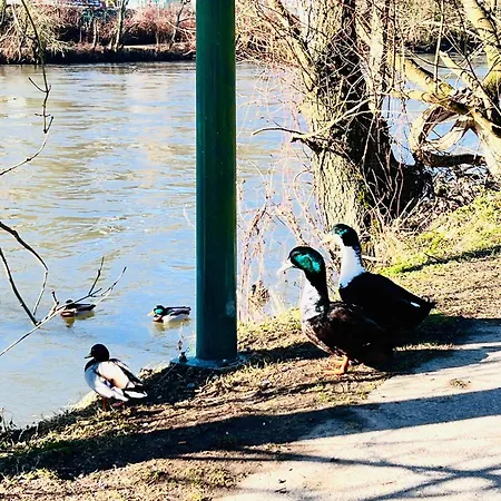 Dom wakacyjny Riverside Surrounded By Nature For Two *